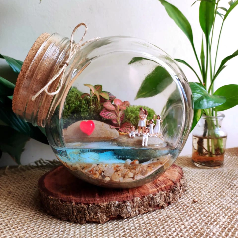 Modelo de terrário decorativo 7